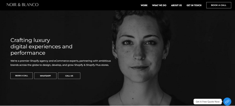 Noir and Blanco (best for creative industries)